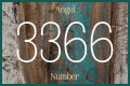 
Repeating Angel Numbers - 3's and 6's  (3366, 3636, 6633, 6363 etc)

