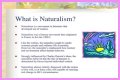 What is naturalism and its characteristics? – Janet-Panic.com