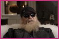Where Is Dusty Hill’s Daughter Charity Hill Now?